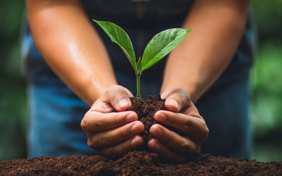 Plan de Reforestación Escárrea: un compromiso con el medio ambiente