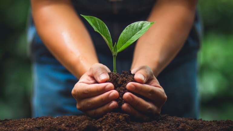 Plan de Reforestación Escárrea: un compromiso con el medio ambiente